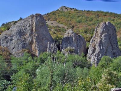 Прикрепленное изображение: DSCF7759.jpg